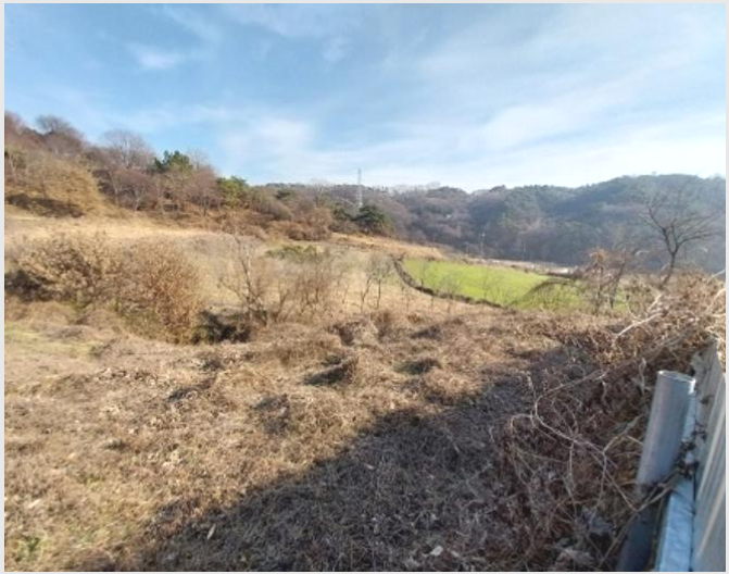 ÅäÁö(Àü) »çÁø1 | °øÁֽà ¿ì¼º¸é µ¿´ë¸® | 2024Ÿ°æ1448 | ÅäÁö(Àü)°æ¸Å