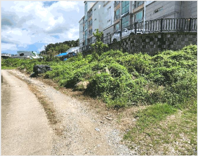 ÅäÁö(Àü) »çÁø1 | °í¼º±º °í¼ºÀ¾ ¼ö³²¸® | 2025Ÿ°æ594 | ÅäÁö(Àü)°æ¸Å