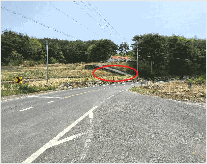ÅäÁö(´ä) »çÁø1 | ¿ïÁÖ±º µÎ¼¸é ÀüÀ¾¸® | 2025Ÿ°æ11642 | ÅäÁö(´ä)°æ¸Å