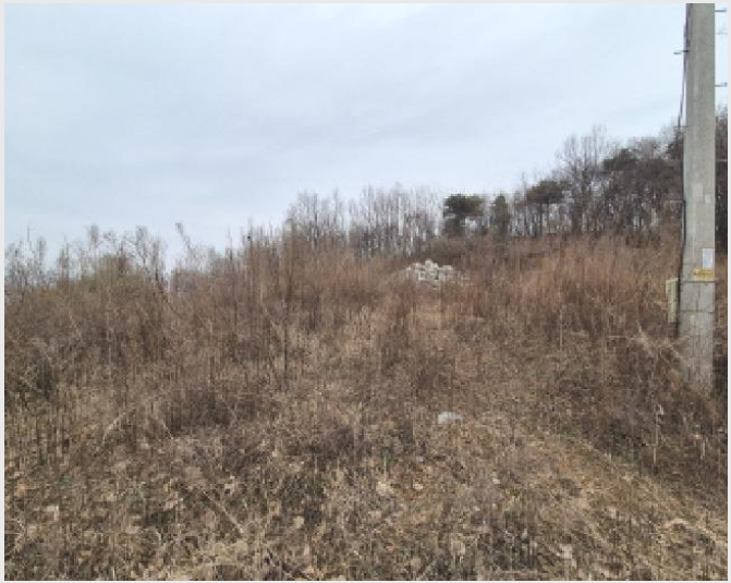ÅäÁö(ÀÓ¾ß) »çÁø1 | À屺¸é µµ°è¸® 46-4 | 2025Ÿ°æ503899 | ÅäÁö(ÀÓ¾ß)°æ¸Å
