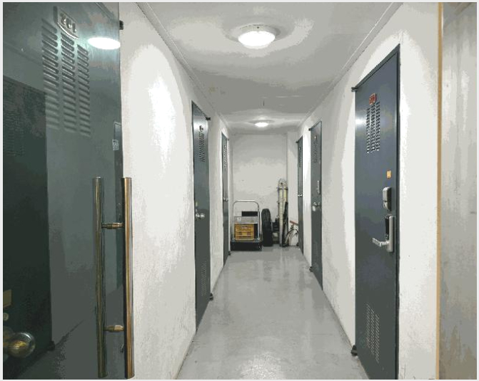 ´Ù¼¼´ë,ºô¶ó »çÁø1 | ÆÄÁֽà ¾ß´çµ¿ 191-19 ¼öÆÓ¸®½º | 2025Ÿ°æ62055 | ´Ù¼¼´ë,ºô¶ó°æ¸Å