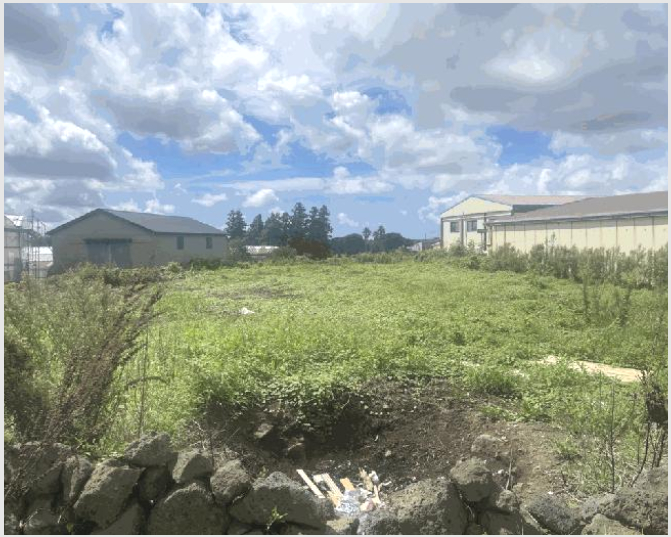 ÅäÁö(Àü) »çÁø1 | Á¦Áֽà ÇѰæ¸é û¼ö¸® | 2025Ÿ°æ8611 | ÅäÁö(Àü)°æ¸Å