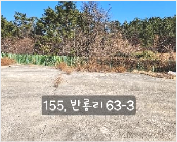 °øÀå »çÁø1 | ±âÀ屺 Àå¾ÈÀ¾ ¹Ý·æ¸® | 2025Ÿ°æ155 | °øÀå°æ¸Å