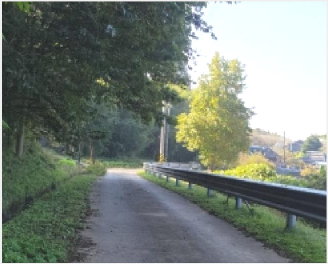 ÅäÁö(Àü) »çÁø1 | º¸¼º±º Á¶¼º¸é Àº°î¸® | 2025Ÿ°æ52210 | ÅäÁö(Àü)°æ¸Å