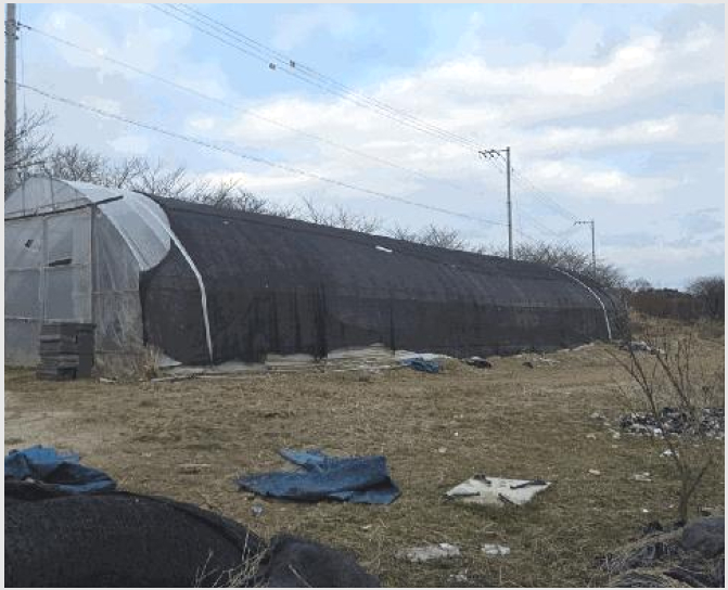 ´Üµ¶ÁÖÅà »çÁø1 | ¾Æ»ê½Ã ÀÎÁÖ¸é ¹®¹æ¸® | 2025Ÿ°æ12508 | ´Üµ¶ÁÖÅðæ¸Å