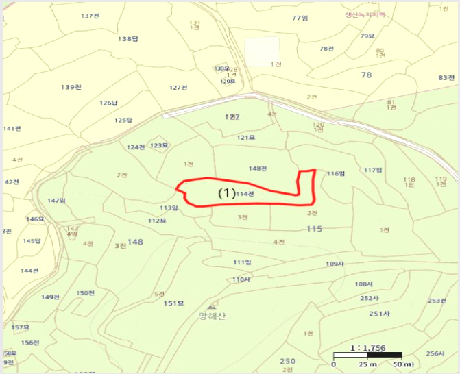 ÅäÁö(Àü) »çÁø1 | ÇØ³²±º ¹®³»¸é ¼»ó¸® | 2025Ÿ°æ50601 | ÅäÁö(Àü)°æ¸Å