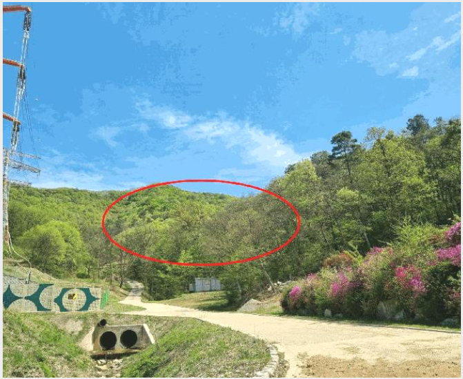 ÅäÁö(ÀÓ¾ß) »çÁø1 | ¿ëÀνà óÀα¸ ³²»çÀ¾ | 2025Ÿ°æ55478 | ÅäÁö(ÀÓ¾ß)°æ¸Å