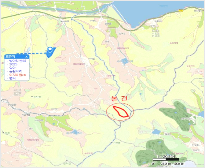 ÅäÁö(ÀÓ¾ß) »çÁø1 | ¿ëÀνà óÀα¸ ³²»çÀ¾ | 2025Ÿ°æ55478 | ÅäÁö(ÀÓ¾ß)°æ¸Å