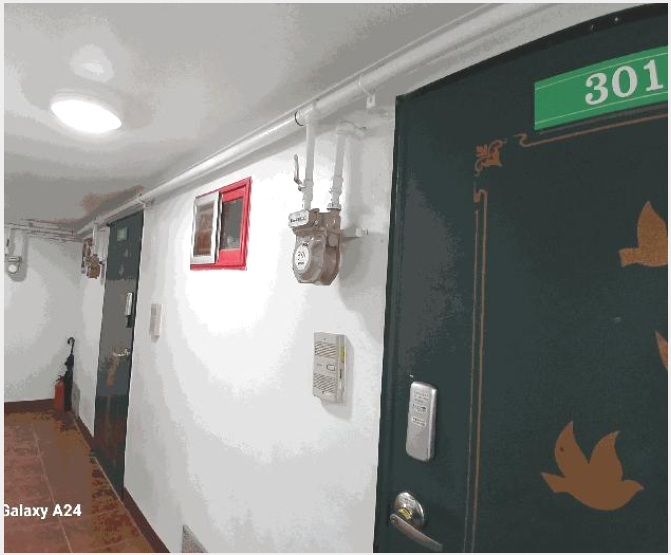 ´Üµ¶ÁÖÅÃ,»ó°¡ÁÖÅà »çÁø1 | ºÏ±¸ ¿ëºÀµ¿ 1149-43 | 2024Ÿ°æ8674 | ´Üµ¶ÁÖÅÃ,»ó°¡ÁÖÅðæ¸Å