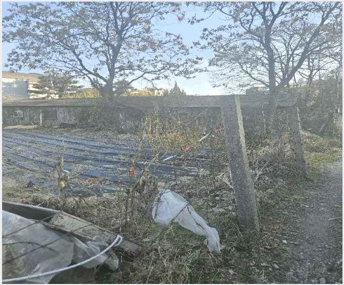 ÅäÁö(Àü) »çÁø1 | °æÁֽà ¾È°À¾ »ê´ë¸® | 2025Ÿ°æ10788 | ÅäÁö(Àü)°æ¸Å