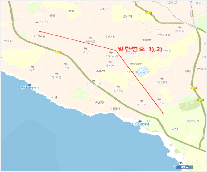 ÅäÁö(Àü) »çÁø1 | ¼±ÍÆ÷½Ã ´ëÁ¤À¾ ¹«¸ª¸® | 2025Ÿ°æ8216 | ÅäÁö(Àü)°æ¸Å