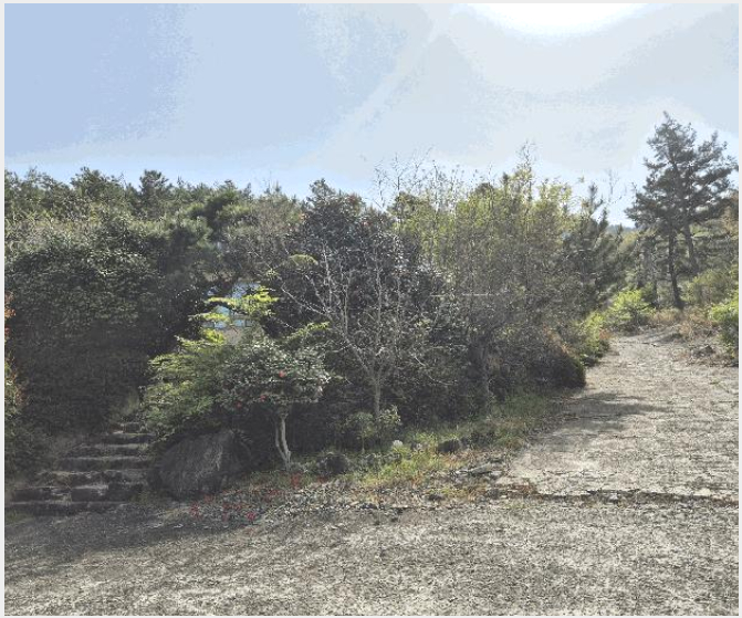ÅäÁö(ÀÓ¾ß) »çÁø1 | »çõ½Ã Á׸²µ¿ »ê155 | 2025Ÿ°æ30706 | ÅäÁö(ÀÓ¾ß)°æ¸Å