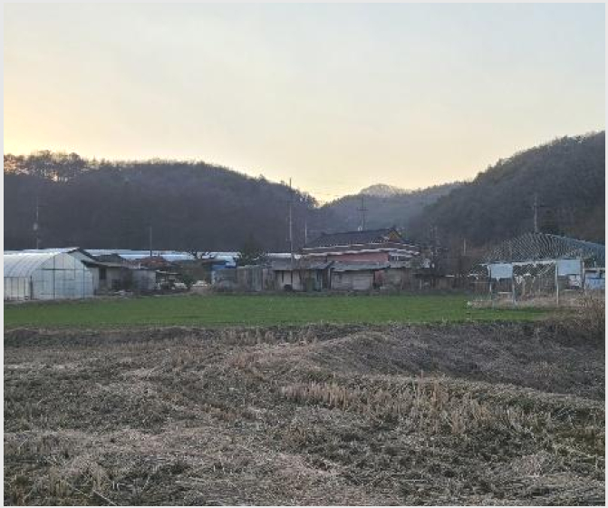 ÅäÁö(Àü) »çÁø1 | Ⱦ¼º±º Ⱦ¼ºÀ¾ °¥Ç³¸® | 2024Ÿ°æ401024 | ÅäÁö(Àü)°æ¸Å