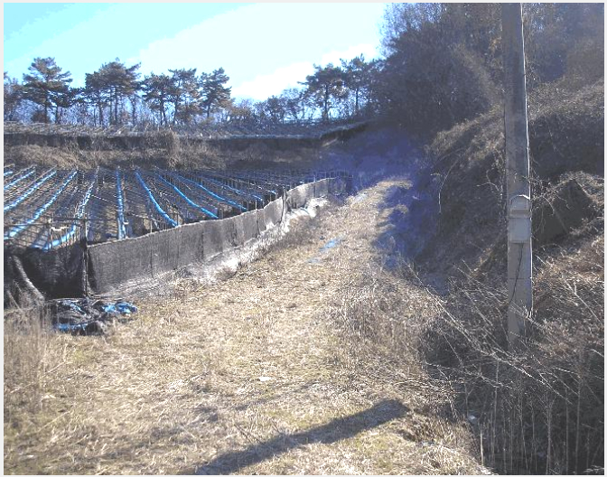 ÅäÁö(Àü) »çÁø1 | ¿µ±¤±º È«³óÀ¾ ¿ù¾Ï¸® | 2025Ÿ°æ7517 | ÅäÁö(Àü)°æ¸Å