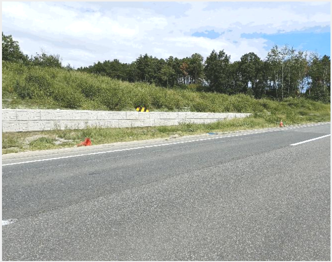 ÅäÁö(ÀÓ¾ß) »çÁø1 | Æ÷Ç׽à ºÏ±¸ ûÇϸé | 2025Ÿ°æ4007 | ÅäÁö(ÀÓ¾ß)°æ¸Å