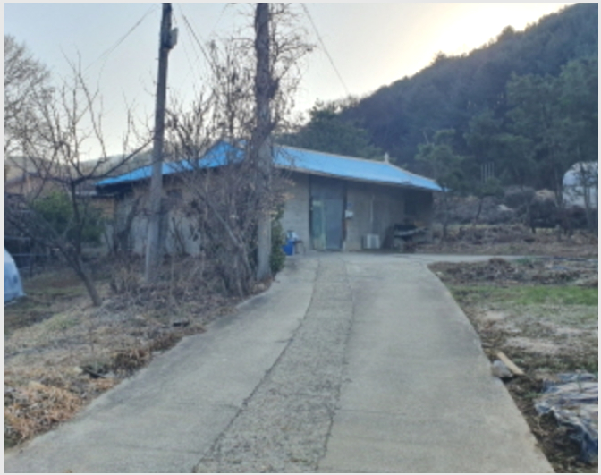 ÅäÁö(´ëÁö) »çÁø1 | ¾çÆò±º °³±º¸é ºÒ°î¸® | 2023Ÿ°æ31247 | ÅäÁö(´ëÁö)°æ¸Å