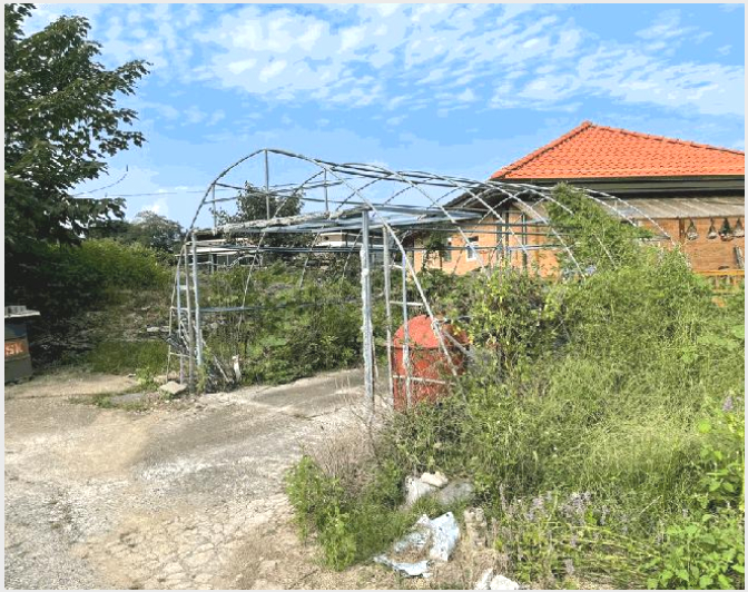 ÅäÁö(Àü) »çÁø1 | â¿ø½Ã ¸¶»êÇÕÆ÷±¸ ÁøÀü¸é | 2025Ÿ°æ20872 | ÅäÁö(Àü)°æ¸Å