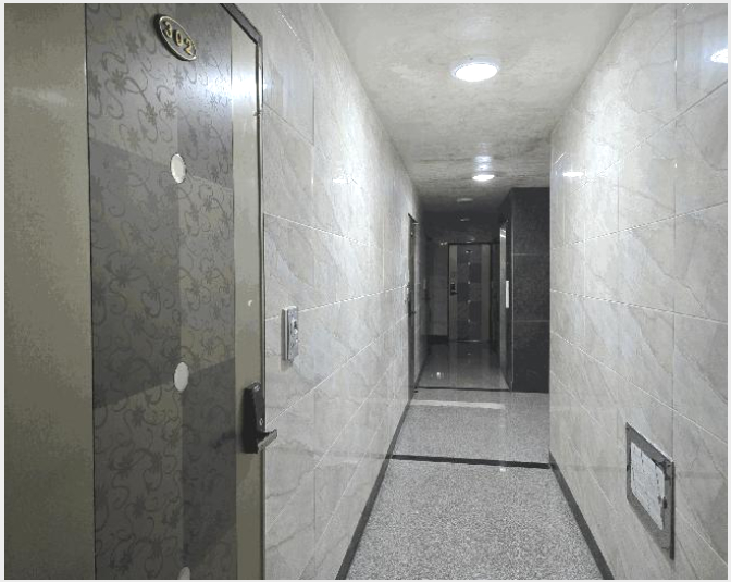 ´Ù°¡±¸ÁÖÅà »çÁø1 | À屺¸é µµ°è¸® 272-6 | 2025Ÿ°æ503106 | ´Ù°¡±¸ÁÖÅðæ¸Å