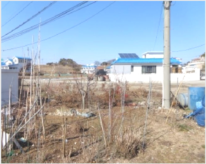 ÅäÁö(Àü) »çÁø1 | žȱº °í³²¸é °í³²¸® | 2025Ÿ°æ513 | ÅäÁö(Àü)°æ¸Å