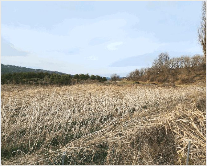 ÅäÁö(´ä) »çÁø1 | ûÁֽà û¿ø±¸ ³»¼öÀ¾ | 2026Ÿ°æ50300 | ÅäÁö(´ä)°æ¸Å