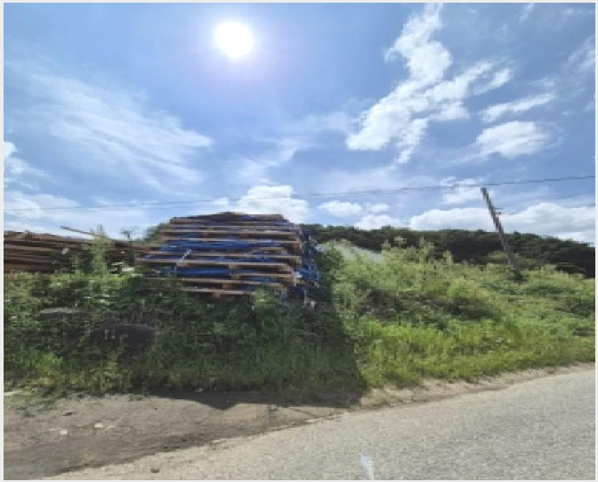 ÅäÁö(Àü) »çÁø1 | °î¼º±º ÀÔ¸é âÁ¤¸® | 2025Ÿ°æ34057 | ÅäÁö(Àü)°æ¸Å