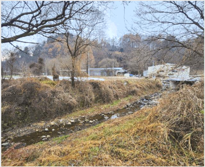 ÅäÁö(Àü) »çÁø1 | ±«»ê±º ±«»êÀ¾ ¼ºÎ¸® | 2025Ÿ°æ52030 | ÅäÁö(Àü)°æ¸Å