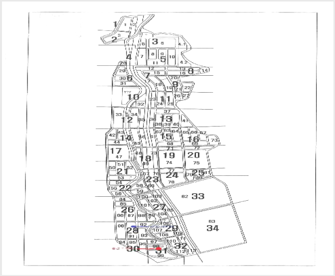 ÅäÁö(Àü) »çÁø1 | °æÁֽà õ±ºµ¿ 1156-4 | 2025Ÿ°æ10527 | ÅäÁö(Àü)°æ¸Å