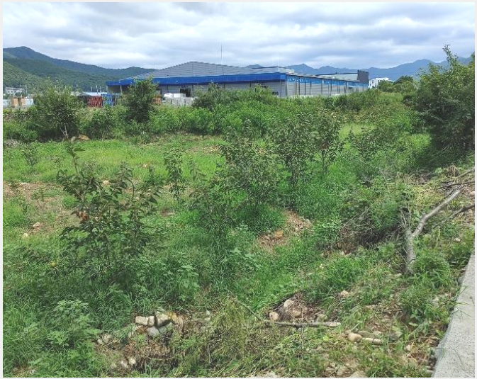 ÅäÁö(ÀÓ¾ß) »çÁø1 | ¹Ð¾ç½Ã »ê¿Ü¸é ±Ýõ¸® | 2024Ÿ°æ12090 | ÅäÁö(ÀÓ¾ß)°æ¸Å