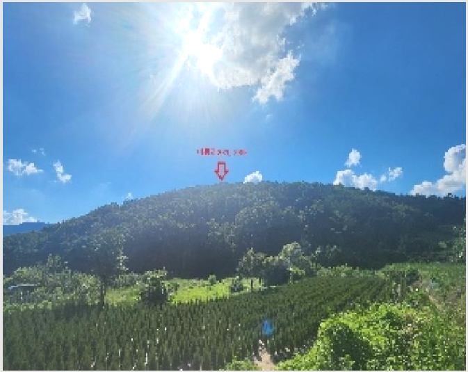 ÅäÁö(ÀÓ¾ß) »çÁø1 | ¿Áõ±º ÀÌ¿ø¸é ¹Ìµ¿¸® | 2025Ÿ°æ10173 | ÅäÁö(ÀÓ¾ß)°æ¸Å