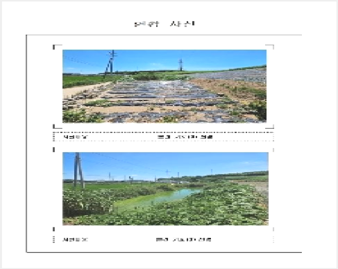 ÅäÁö(´ä) »çÁø1 | ½Å¾È±º ¾ÐÇØÀ¾ ¸Åȸ® | 2025Ÿ°æ51258 | ÅäÁö(´ä)°æ¸Å