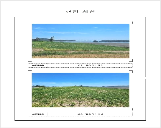 ÅäÁö(´ä) »çÁø1 | ½Å¾È±º ¾ÐÇØÀ¾ ¸Åȸ® | 2025Ÿ°æ51258 | ÅäÁö(´ä)°æ¸Å