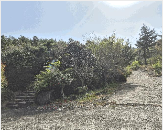 ÅäÁö(ÀÓ¾ß) »çÁø1 | »çõ½Ã Á׸²µ¿ »ê155 | 2025Ÿ°æ30706 | ÅäÁö(ÀÓ¾ß)°æ¸Å