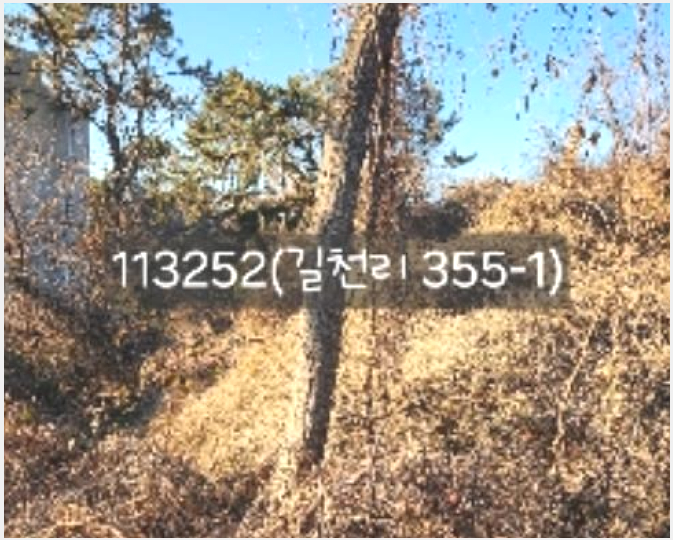 ÅäÁö(ÀÓ¾ß) »çÁø1 | ±âÀ屺 Àå¾ÈÀ¾ ±æÃµ¸® | 2024Ÿ°æ113252 | ÅäÁö(ÀÓ¾ß)°æ¸Å