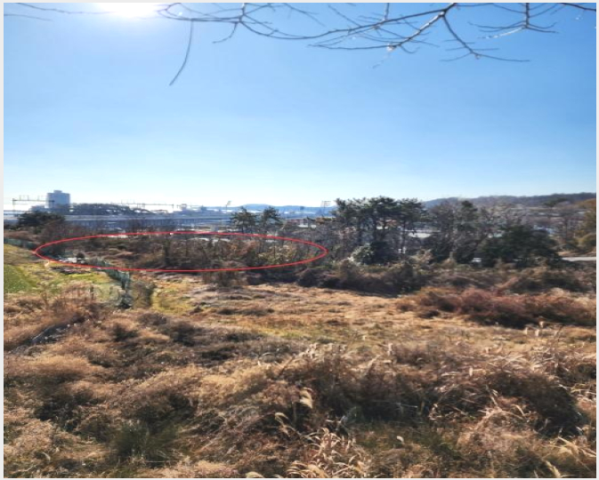 ÅäÁö(ÀÓ¾ß) »çÁø1 | ±âÀ屺 Àå¾ÈÀ¾ ±æÃµ¸® | 2024Ÿ°æ113252 | ÅäÁö(ÀÓ¾ß)°æ¸Å