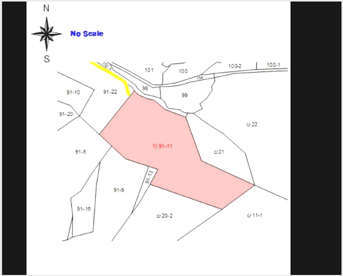 ÅäÁö(ÀÓ¾ß) »çÁø1 | È«¼º±º °¥»ê¸é °¥¿À¸® | 2025Ÿ°æ1084 | ÅäÁö(ÀÓ¾ß)°æ¸Å