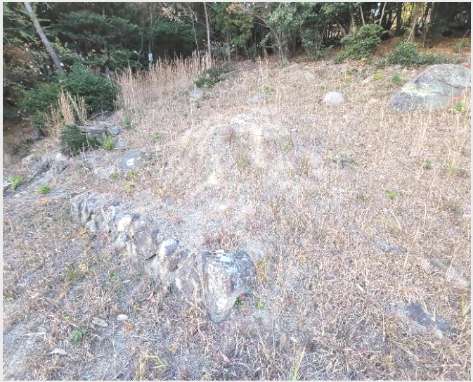 ÅäÁö(´ä) »çÁø1 | ±¤¾ç½Ã Áø¿ù¸é ¸Á´ö¸® | 2024Ÿ°æ62325 | ÅäÁö(´ä)°æ¸Å