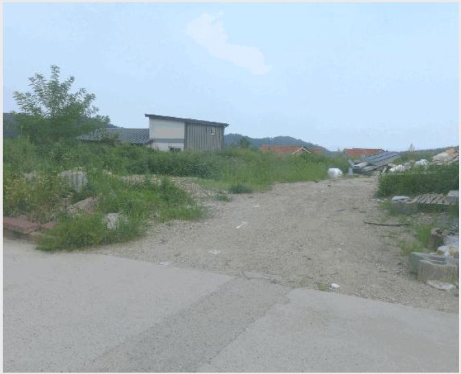 ÅäÁö(´ä) »çÁø1 | °æÁֽà ¾ç³²¸é ȯ¼¸® | 2025Ÿ°æ10556 | ÅäÁö(´ä)°æ¸Å