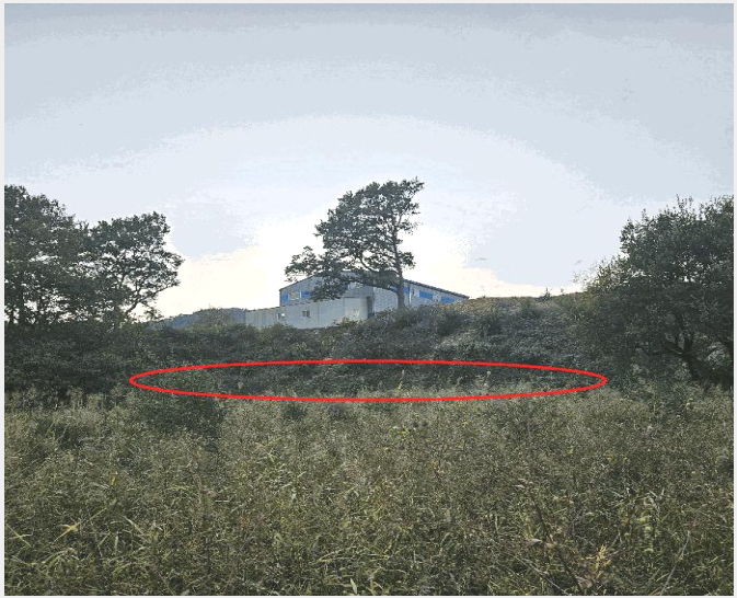 ÅäÁö(´ä) »çÁø1 | ¾ç»ê½Ã »óºÏ¸é ¼Ò¼®¸® | 2025Ÿ°æ12770 | ÅäÁö(´ä)°æ¸Å