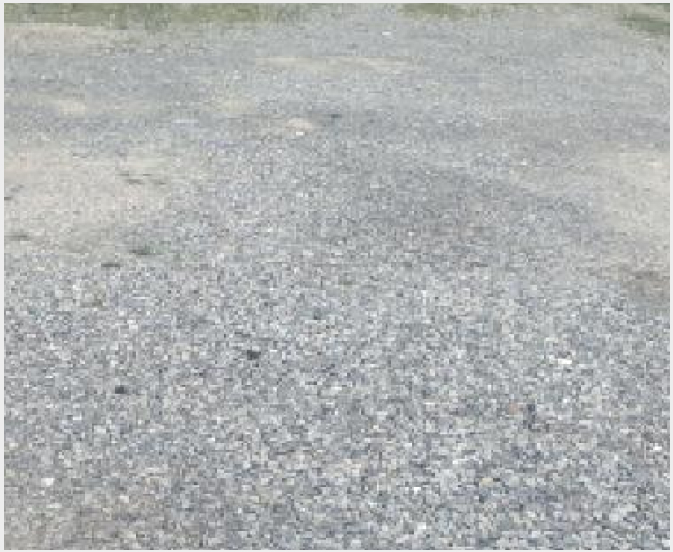 ÅäÁö(´ëÁö) »çÁø1 | ¾ç»ê½Ã Áߺε¿ 676-4 | 2025Ÿ°æ12307 | ÅäÁö(´ëÁö)°æ¸Å