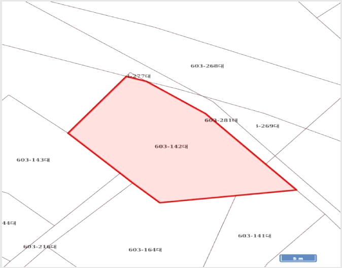 ÅäÁö(´ëÁö) »çÁø1 | ÆòÅýà ¼Á¤µ¿ 603-142 | 2025Ÿ°æ42285 | ÅäÁö(´ëÁö)°æ¸Å