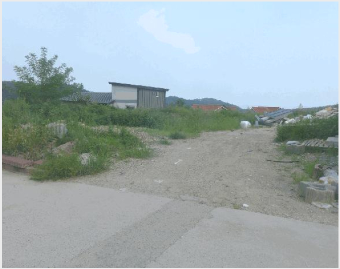 ÅäÁö(Àü) »çÁø1 | °æÁֽà ¾ç³²¸é ȯ¼¸® | 2025Ÿ°æ10556 | ÅäÁö(Àü)°æ¸Å