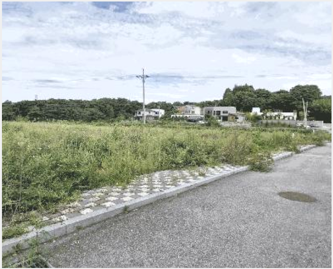 ÅäÁö(Àü) »çÁø1 | ÀüÁֽà ¿Ï»ê±¸ »ïõµ¿3°¡ | 2025Ÿ°æ932 | ÅäÁö(Àü)°æ¸Å