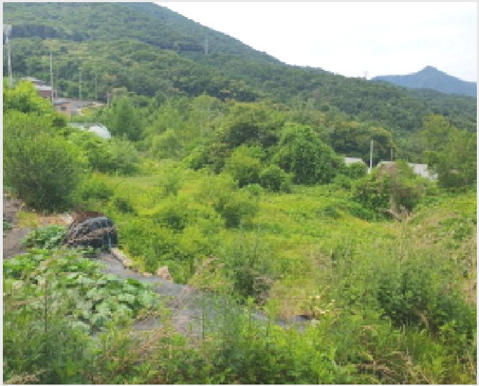 ÅäÁö(´ëÁö) »çÁø1 | °¡Æò±º ¼³¾Ç¸é »ç·æ¸® | 2025Ÿ°æ71813 | ÅäÁö(´ëÁö)°æ¸Å