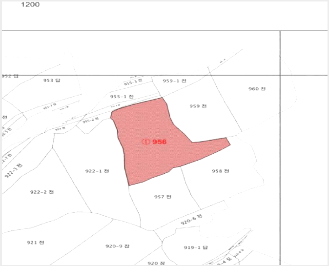 ÅäÁö(ÀÓ¾ß) »çÁø1 | ¿©¼ö½Ã Ⱦç¸é ¼Ã̸® | 2025Ÿ°æ51568 | ÅäÁö(ÀÓ¾ß)°æ¸Å