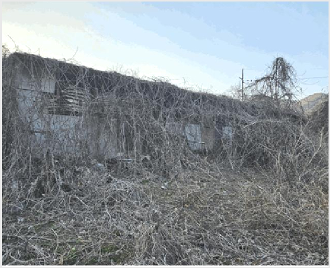 ÅäÁö(Àü) »çÁø1 | Ä¥°î±º °¡»ê¸é ´ÙºÎ¸® | 2024Ÿ°æ101957 | ÅäÁö(Àü)°æ¸Å