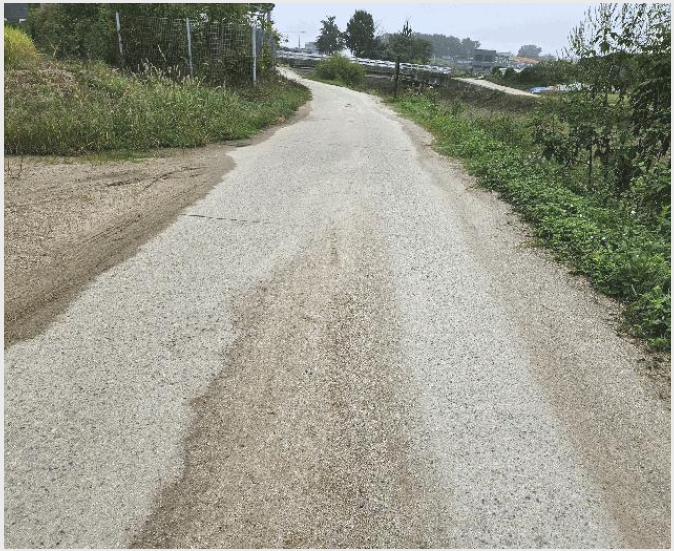 ÅäÁö(´ä) »çÁø1 | ¾çÁֽà ¿ÁÁ¤µ¿ 414 | 2025Ÿ°æ73235 | ÅäÁö(´ä)°æ¸Å