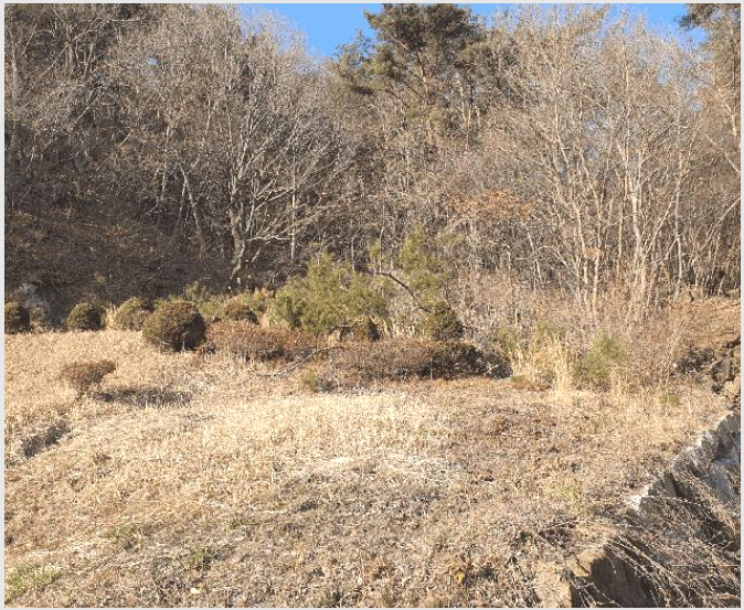 ÅäÁö(ÀÓ¾ß) »çÁø1 | °î¼º±º ¼®°î¸é ¿¬¹Ý¸® | 2026Ÿ°æ30116 | ÅäÁö(ÀÓ¾ß)°æ¸Å