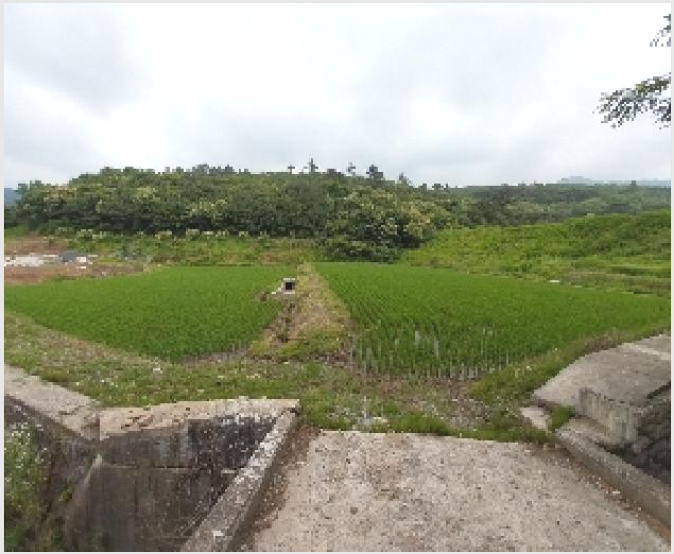 ÅäÁö(´ä) »çÁø1 | û¾ç±º ³²¾ç¸é ¿ë¸¶¸® | 2025Ÿ°æ20296 | ÅäÁö(´ä)°æ¸Å