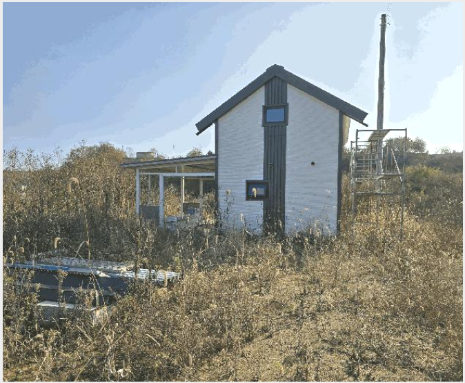 ÅäÁö(ÀÓ¾ß) »çÁø1 | ¿¬Ãµ±º û»ê¸é ±ÃÆò¸® | 2025Ÿ°æ5035 | ÅäÁö(ÀÓ¾ß)°æ¸Å
