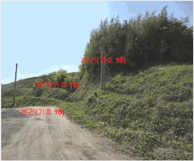 ÅäÁö(Àü) »çÁø1 | ÇԾ籺 ÇÔ¾çÀ¾ ¹é¿¬¸® | 2025Ÿ°æ417 | ÅäÁö(Àü)°æ¸Å